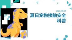 夏日寵物接觸安全科普 學(xué)生居家與寵物相處防護(hù)知識 PPT 課件