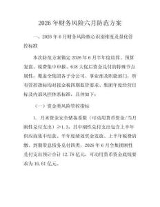 2026年财务风险六月防范方案