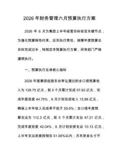 2026年财务管理六月预算执行方案
