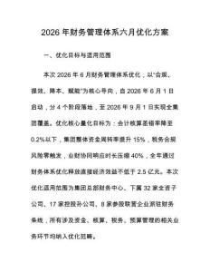 2026年财务管理体系六月优化方案