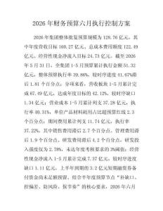 2026年财务预算六月执行控制方案