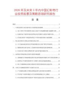 2026年及未來5年內中國幻彩帶行業投資前景及策略咨詢研究報告