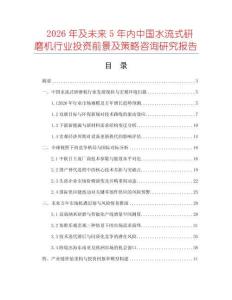 2026年及未来5年内中国水流式研磨机行业投资前景及策略咨询研究报告