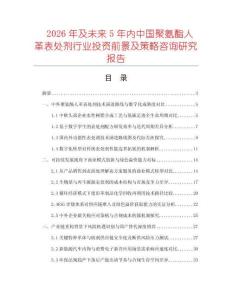 2026年及未来5年内中国聚氨酯人革表处剂行业投资前景及策略咨询研究报告