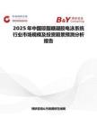 2025年中國瓊脂糖凝膠電泳系統行業市場規模及投資前景預測分析報告