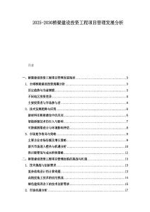 2025-2030桥梁建设投资工程项目管理发展分析