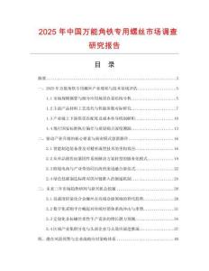 2025年中国万能角铁专用螺丝市场调查研究报告