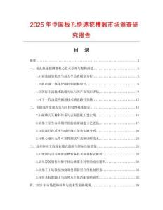 2025年中国板孔快速挖槽器市场调查研究报告