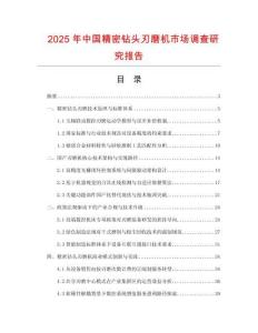 2025年中國精密鉆頭刃磨機市場調查研究報告
