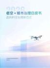 低空+城市治理白皮书2026：迈向时空治理新范式-中央财经大学