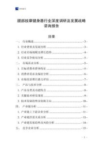 腿部按摩健身器行業深度調研及發展戰略咨詢報告