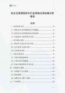 安全無毒塑膠積木行業(yè)跨境出海戰(zhàn)略分析報告