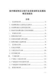 室內攀巖抱石公園行業深度調研及發展戰略咨詢報告