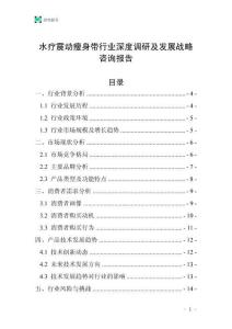 水療震動瘦身帶行業深度調研及發展戰略咨詢報告
