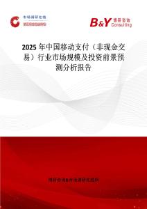 2025年中國移動支付（非現(xiàn)金交易）行業(yè)市場規(guī)模及投資前景預測分析報告