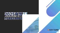 2025年双11行业复盘及消费趋势报告