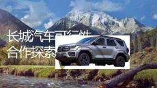 營銷策劃 -長城汽車可行性探索簡案