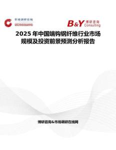 2025年中国端钩钢纤维行业市场规模及投资前景预测分析报告