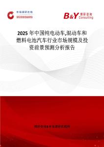 2025年中國純電動車混動車和燃料電池汽車行業市場規模及投資前景預測分析報告