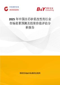 2025年中國注芯砂漿改性劑行業市場前景預測及投資價值評估分析報告
