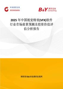 2025年中國視覺特效(VFX)軟件行業市場前景預測及投資價值評估分析報告