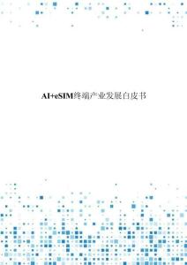 AI + eSIM终端产业发展白皮书