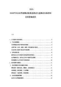 2025-2030汽車自動(dòng)駕駛測試樁黑盒測試白盒測試風(fēng)險(xiǎn)控制具體措施提供