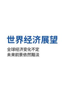 世界經濟展望-全球經濟變化不定未來前景依然黯淡 202510