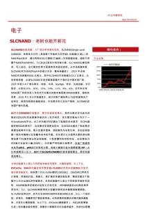 電子-SLC NAND：老樹也能開新花