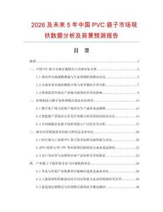 2026及未來5年中國PVC袋子市場現狀數據分析及前景預測報告