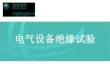 電氣設備絕緣試驗