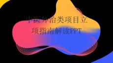 中医外治类项目立项指南解读PPT