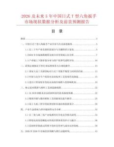 2026及未來5年中國日式T型六角扳手市場現狀數據分析及前景預測報告