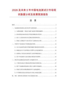 2026及未来5年中国电池测试计市场现状数据分析及前景预测报告
