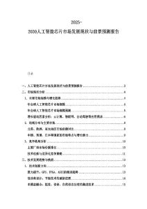 2025-2030人工智能芯片市场发展现状与前景预测报告