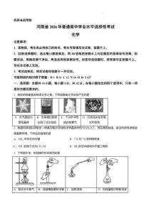 2026年高考河南卷化學高考真題（網絡 收集版）(無答案)
