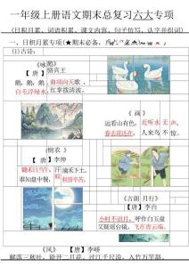 1010★一年級上冊語文期末總復習六大專項