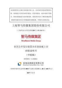 上海智马传媒集团股份有限公司招股说明书