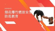 烟花爆竹燃放安全防范教育 PPT