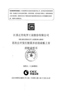 江苏正丹化学工业股份有限公司招股说明书