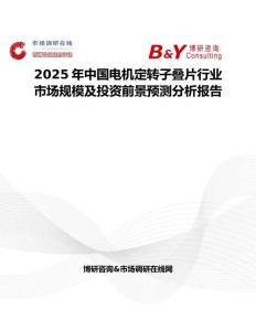 2025年中国电机定转子叠片行业市场规模及投资前景预测分析报告