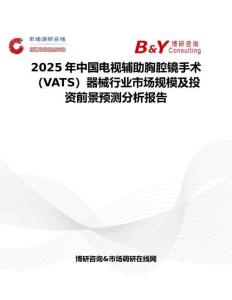 2025年中国电视辅助胸腔镜手术（VATS）器械行业市场规模及投资前景预测分析报告