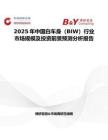 2025年中国白车身（BIW）行业市场规模及投资前景预测分析报告