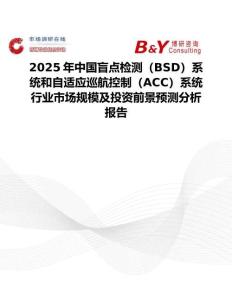 2025年中國盲點檢測（BSD）系統(tǒng)和自適應(yīng)巡航控制（ACC）系統(tǒng)行業(yè)市場規(guī)模及投資前景預(yù)測分析報告