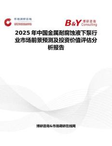 2025年中国金属耐腐蚀液下泵行业市场前景预测及投资价值评估分析报告