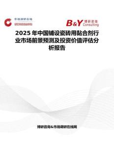 2025年中國鋪設瓷磚用黏合劑行業市場前景預測及投資價值評估分析報告