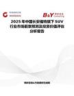 2025年中国长安福特旗下SUV行业市场前景预测及投资价值评估分析报告