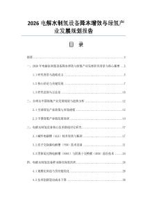 2026電解水制氫設備降本增效與綠氫產(chǎn)業(yè)發(fā)展規(guī)劃報告