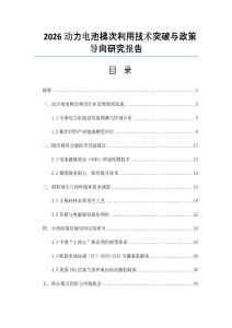 2026動力電池梯次利用技術(shù)突破與政策導(dǎo)向研究報(bào)告