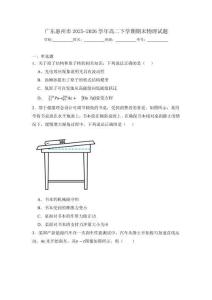 广东省惠州市2025-2026学年高二下学期期末物理试题（含答案）